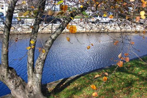 Meetinghouse Pond (part of the grounds adjacent to the church)