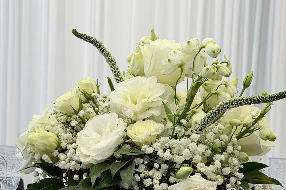 The Ivory Stem