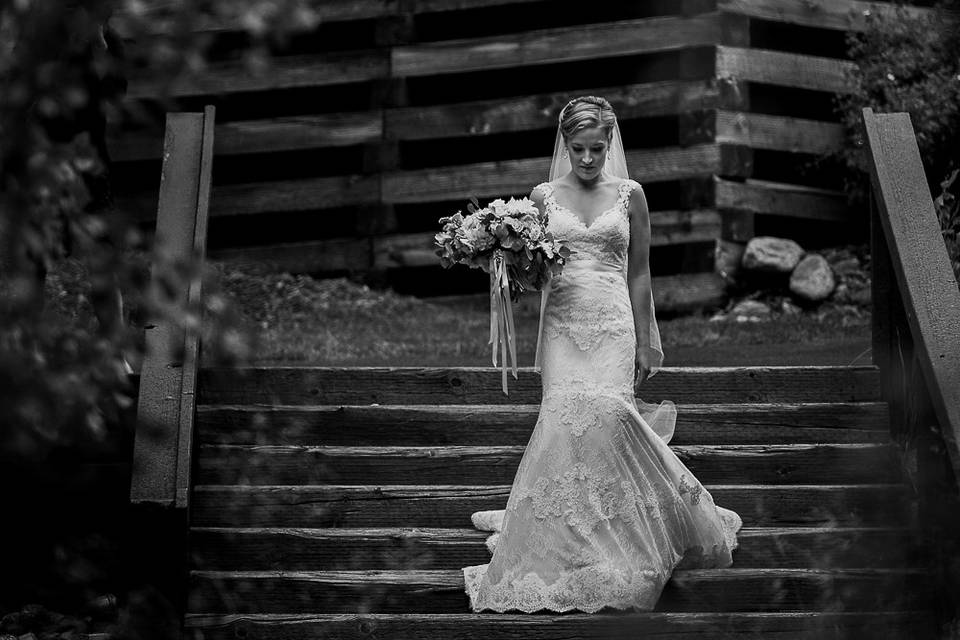 Bridal portrait