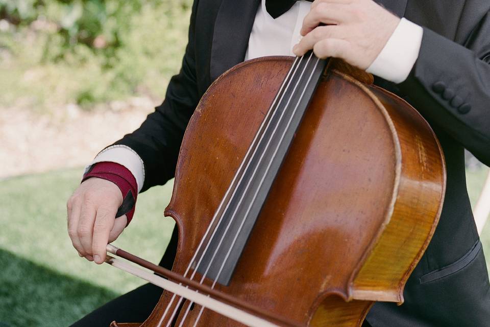 Strings