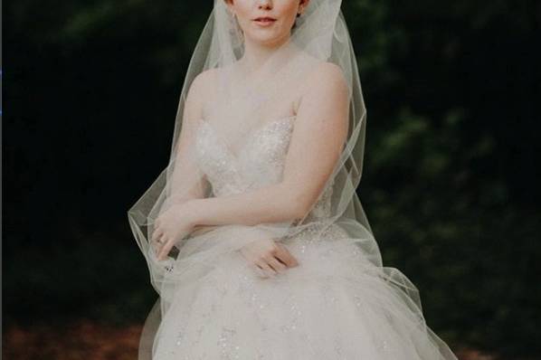 Bridal gown and veil