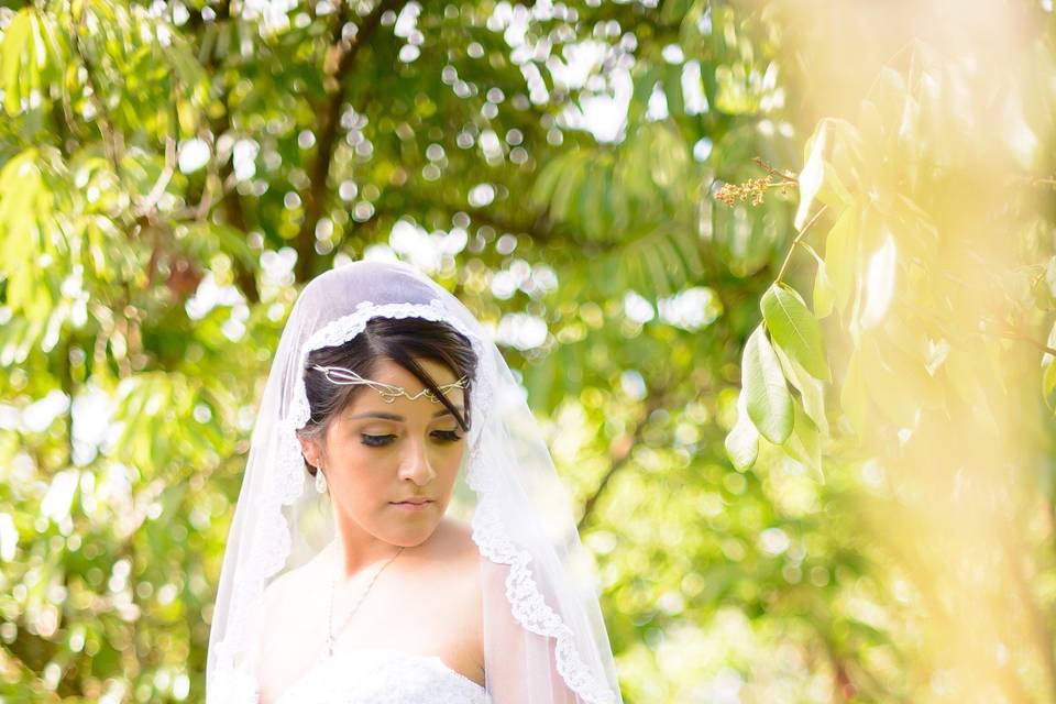 Bridal portrait