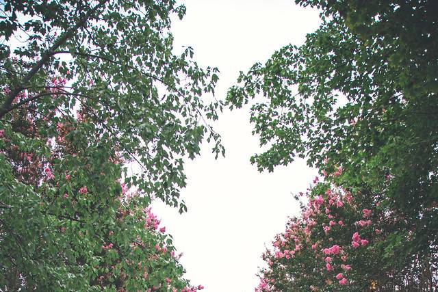 Lansdowne Resort