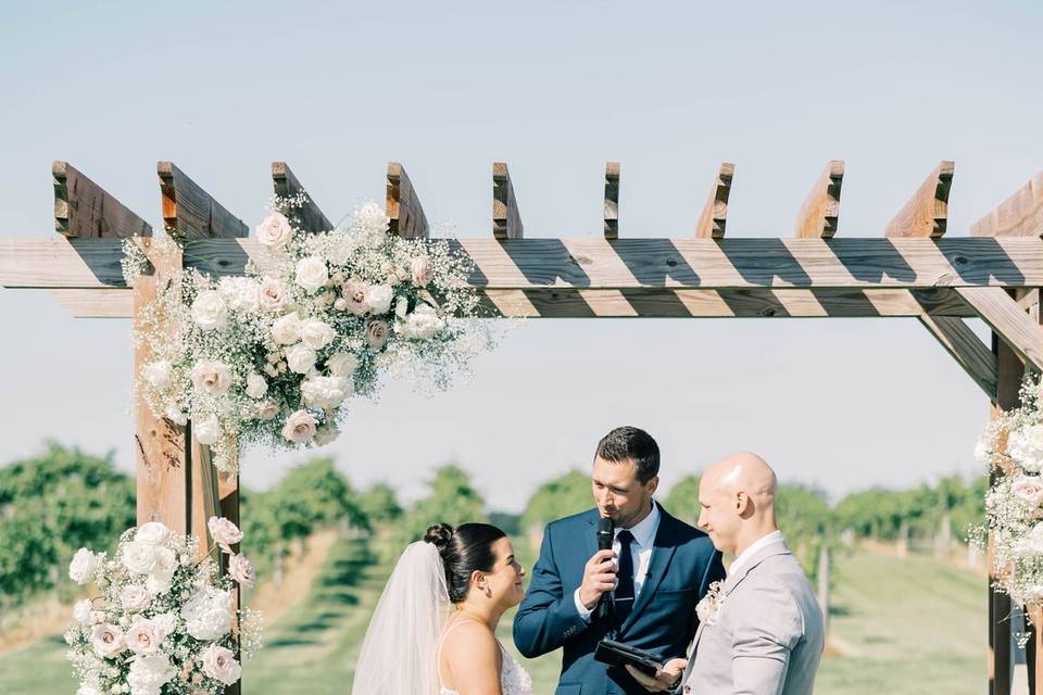 Providence Vineyard