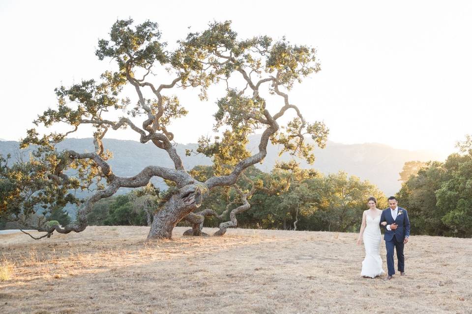 Couple walking by a tree