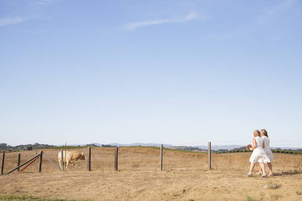 Walking in the field