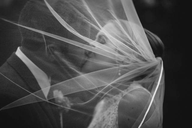 Alayna Waggoner Photography