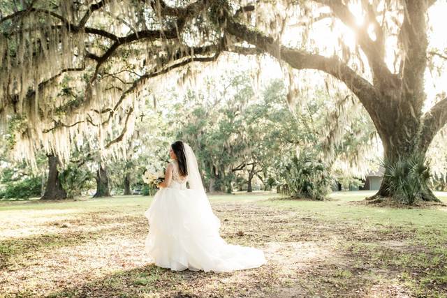 Perfect light at city park!