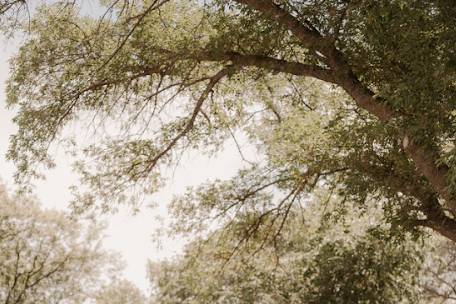 Hannah Photography LLC