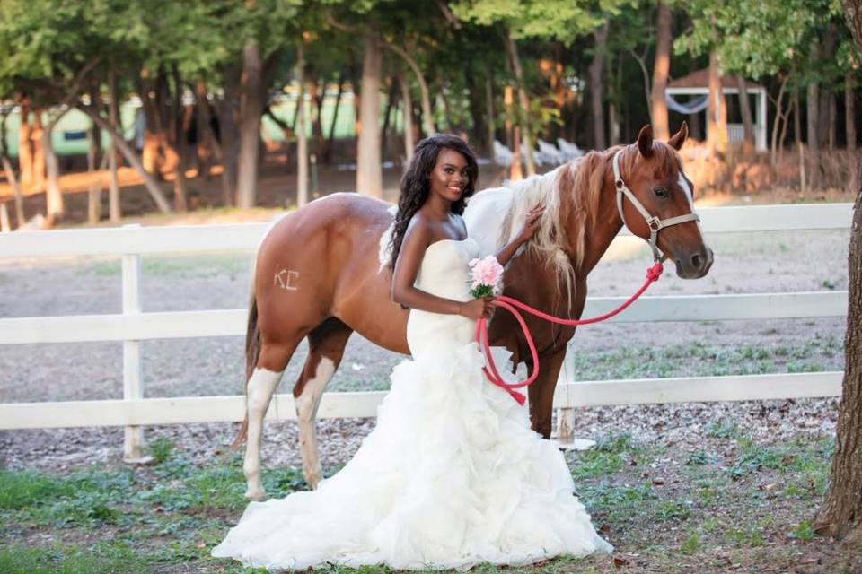 Bride with the horse