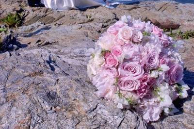 Photography by Caitlin