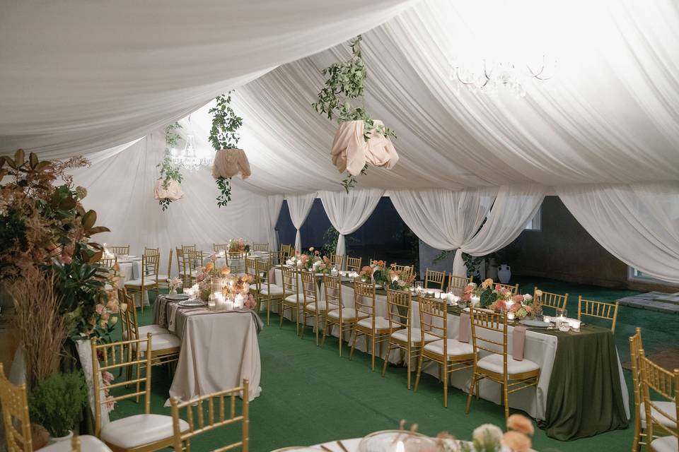 Mini backyard wedding