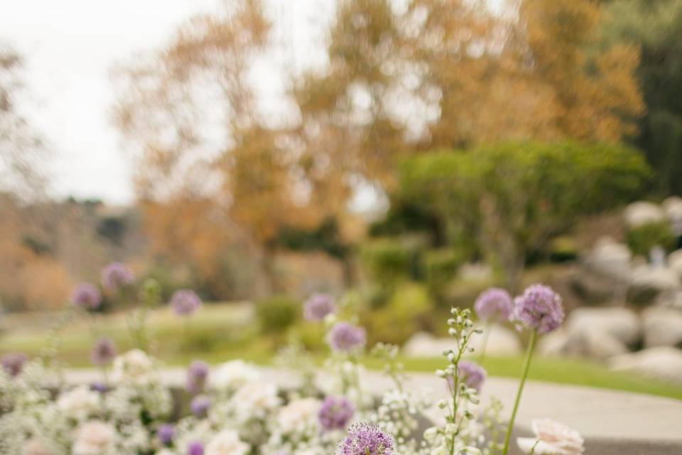 Coyote Hills Moody Wedding