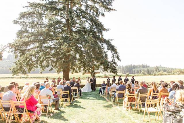 Vineyard View Celebrations