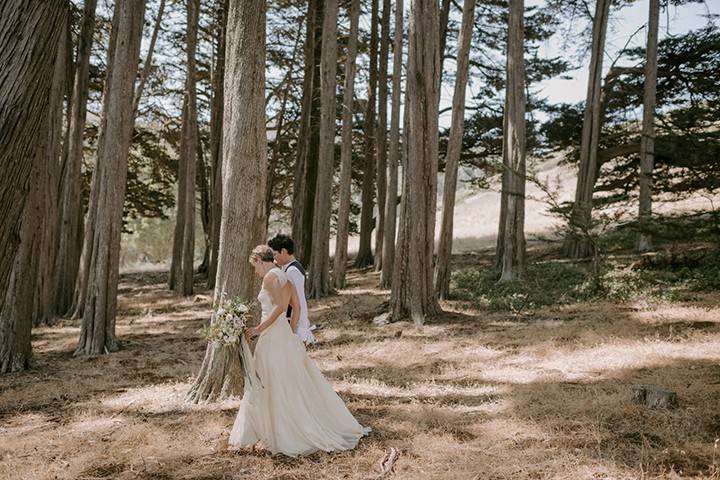 Eucalyptus Grove