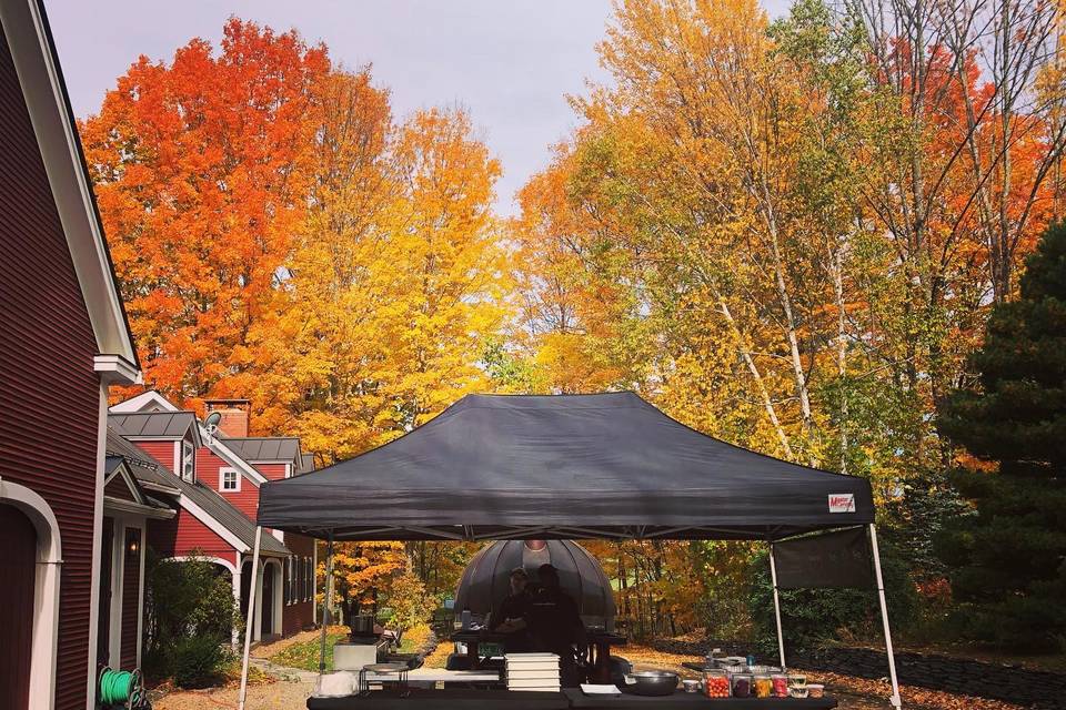 Fall Foliage with Mobile Oven