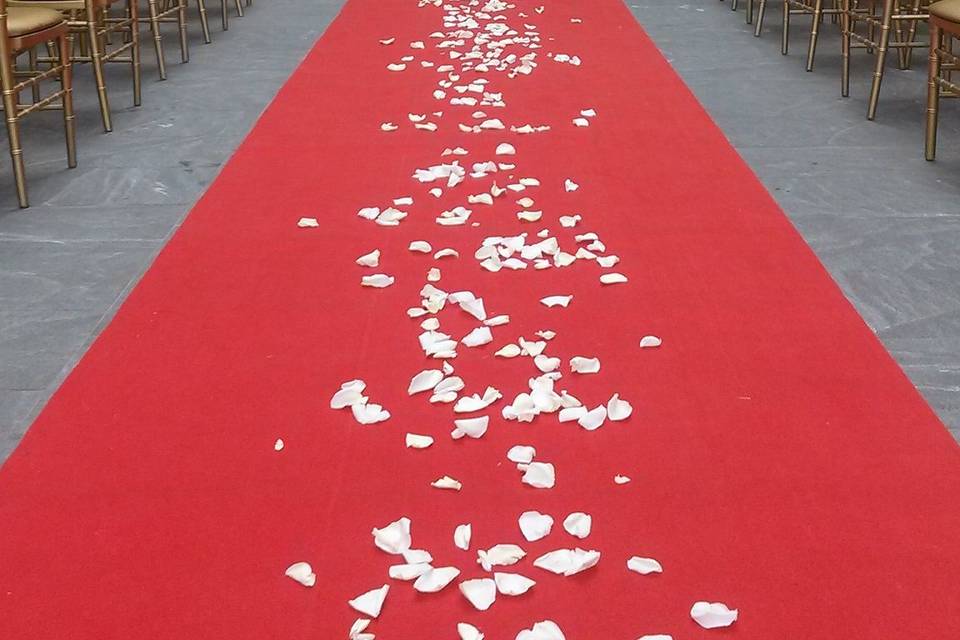 Red carpet