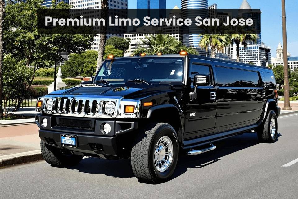 BLACK TIE RIDES LLC