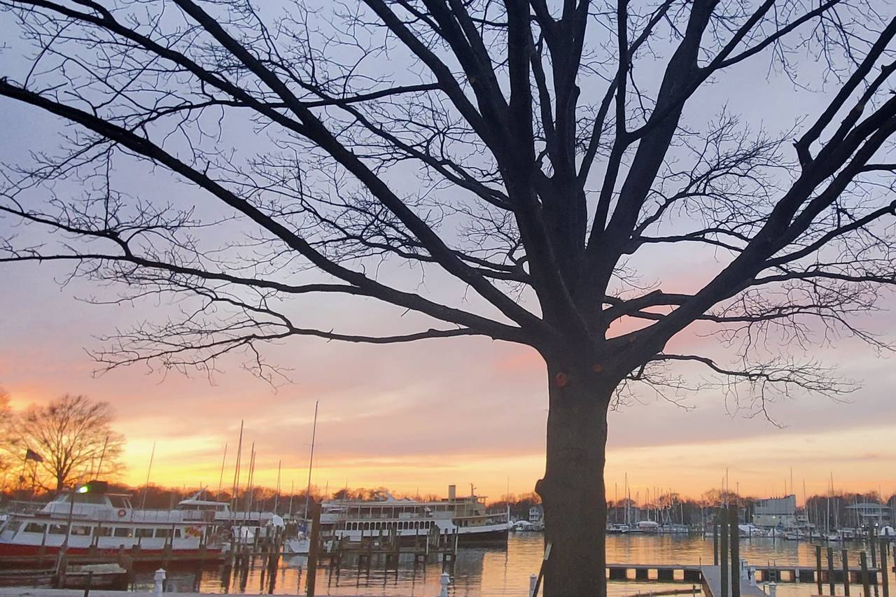 Chesapeake Region Accessible Boating - Venue - Annapolis, MD - WeddingWire