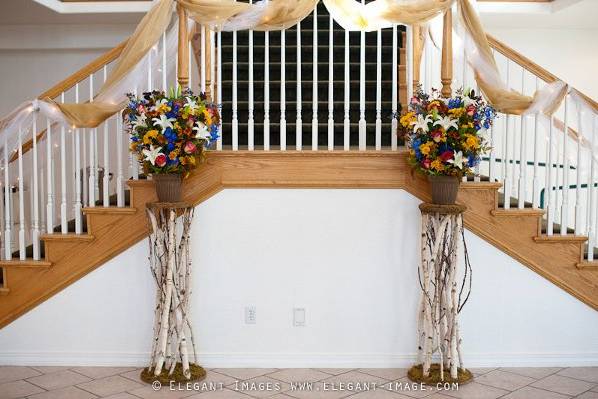 Reale Events