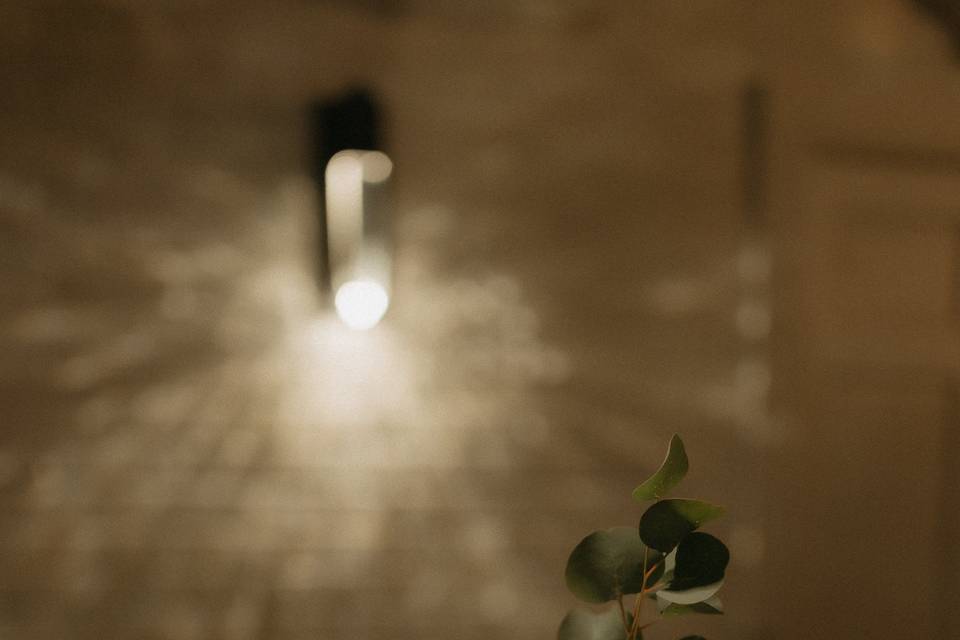 *Evermore Imaging Photography