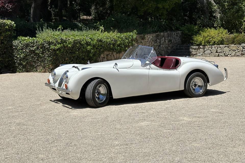 Jaguar XK120