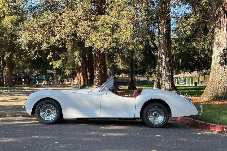 Jaguar XK120