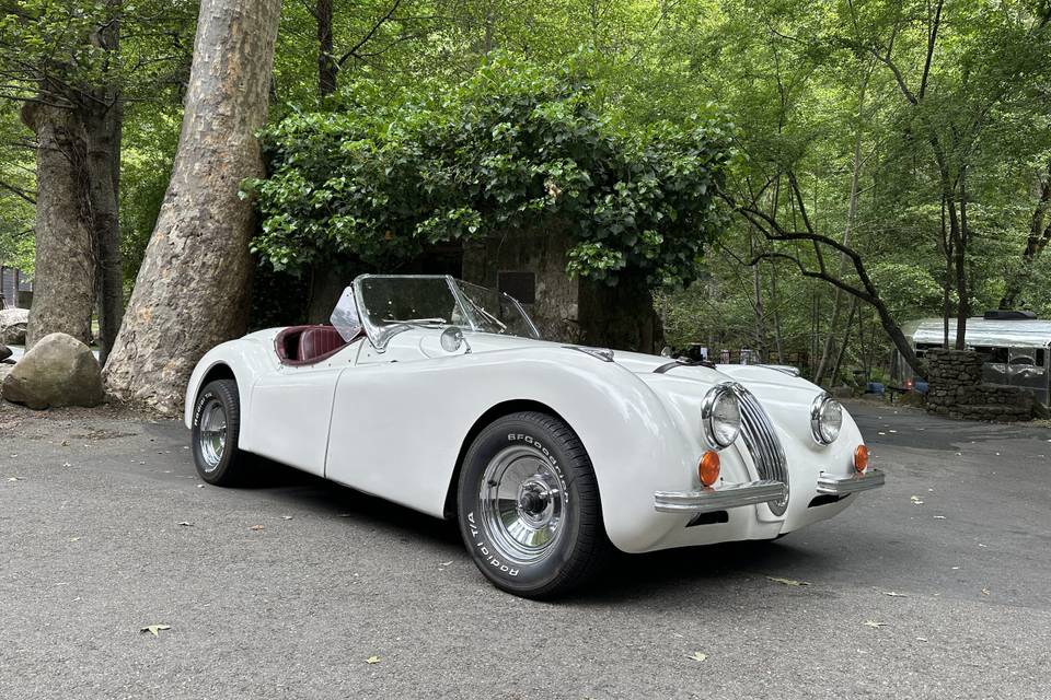 Jaguar XK120