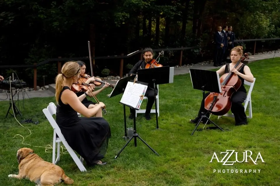 Puget Sound Strings - Ceremony Music - Seattle, WA - WeddingWire