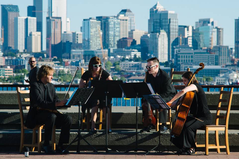 Puget Sound Strings