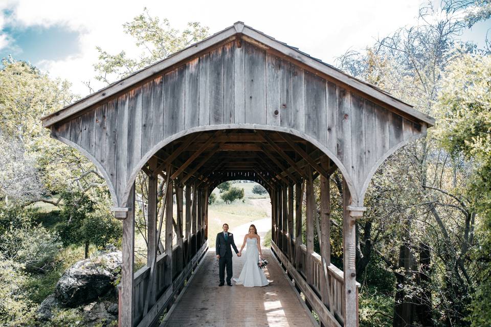 Groom and bride