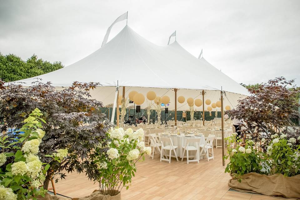 Elegant Aura Events