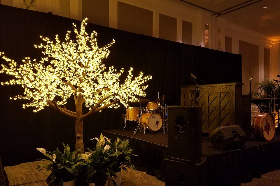 LED tree rental wedding