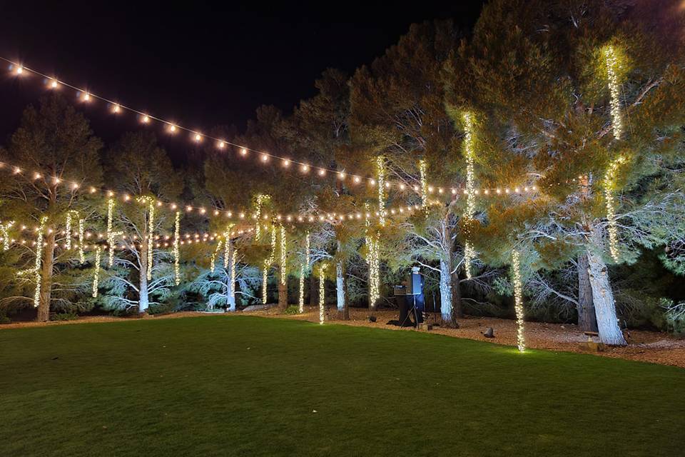 Vegas Event Lights