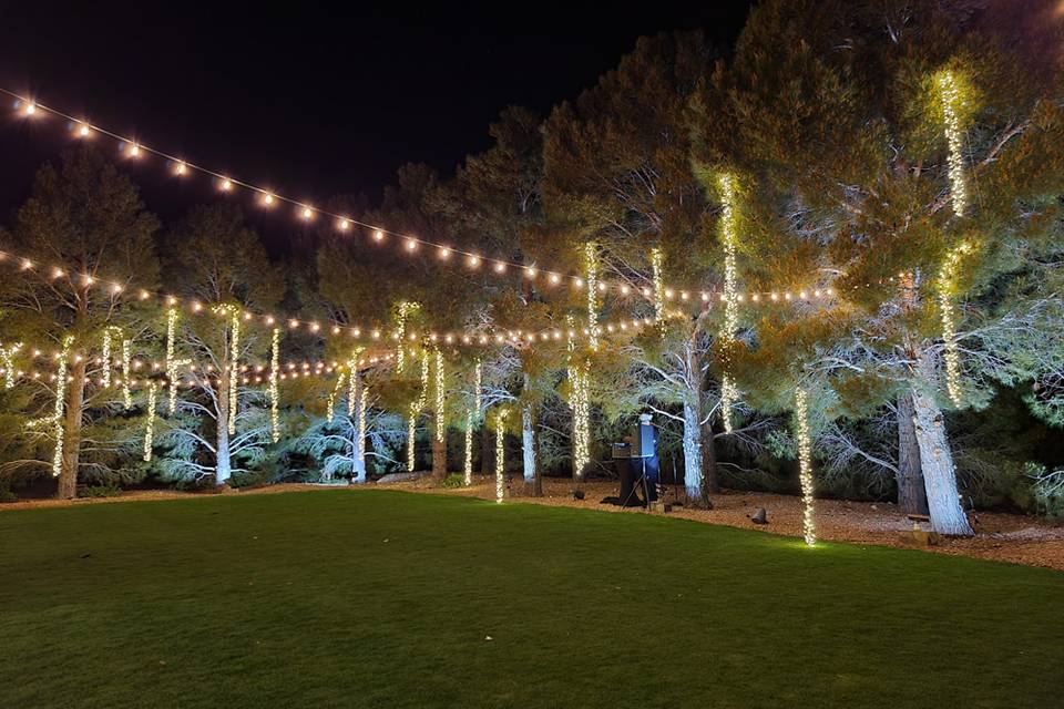 Wedding bistro lighting