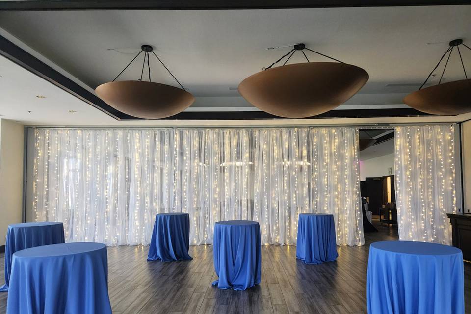 Wedding curtain light wall