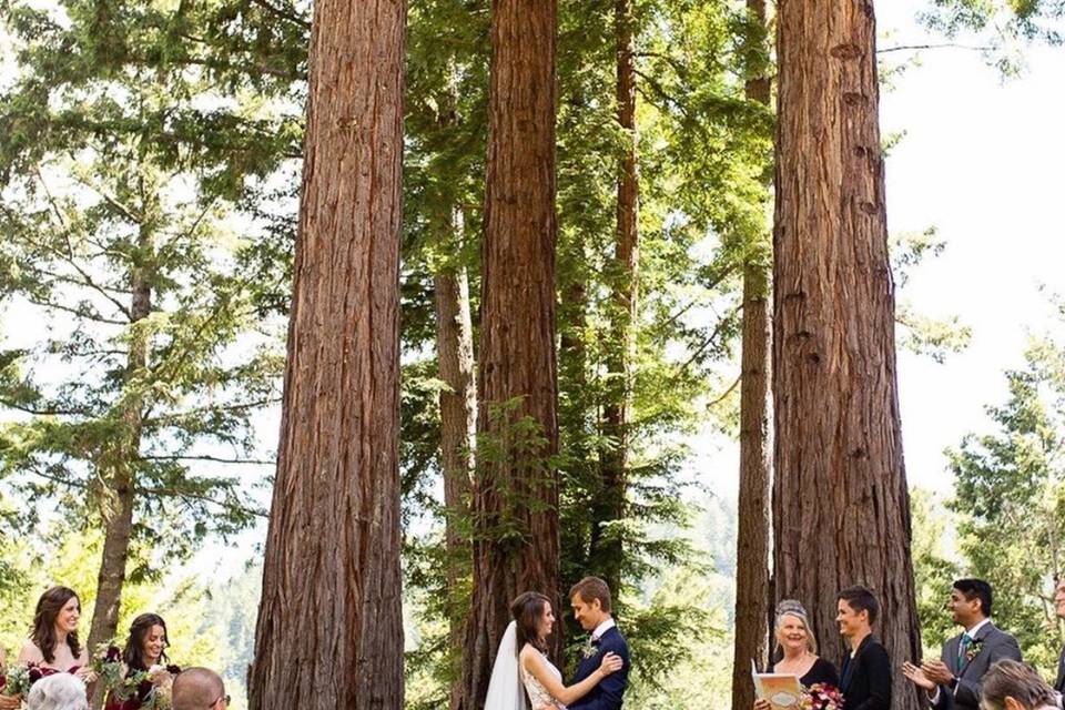 Enchanting forest wedding