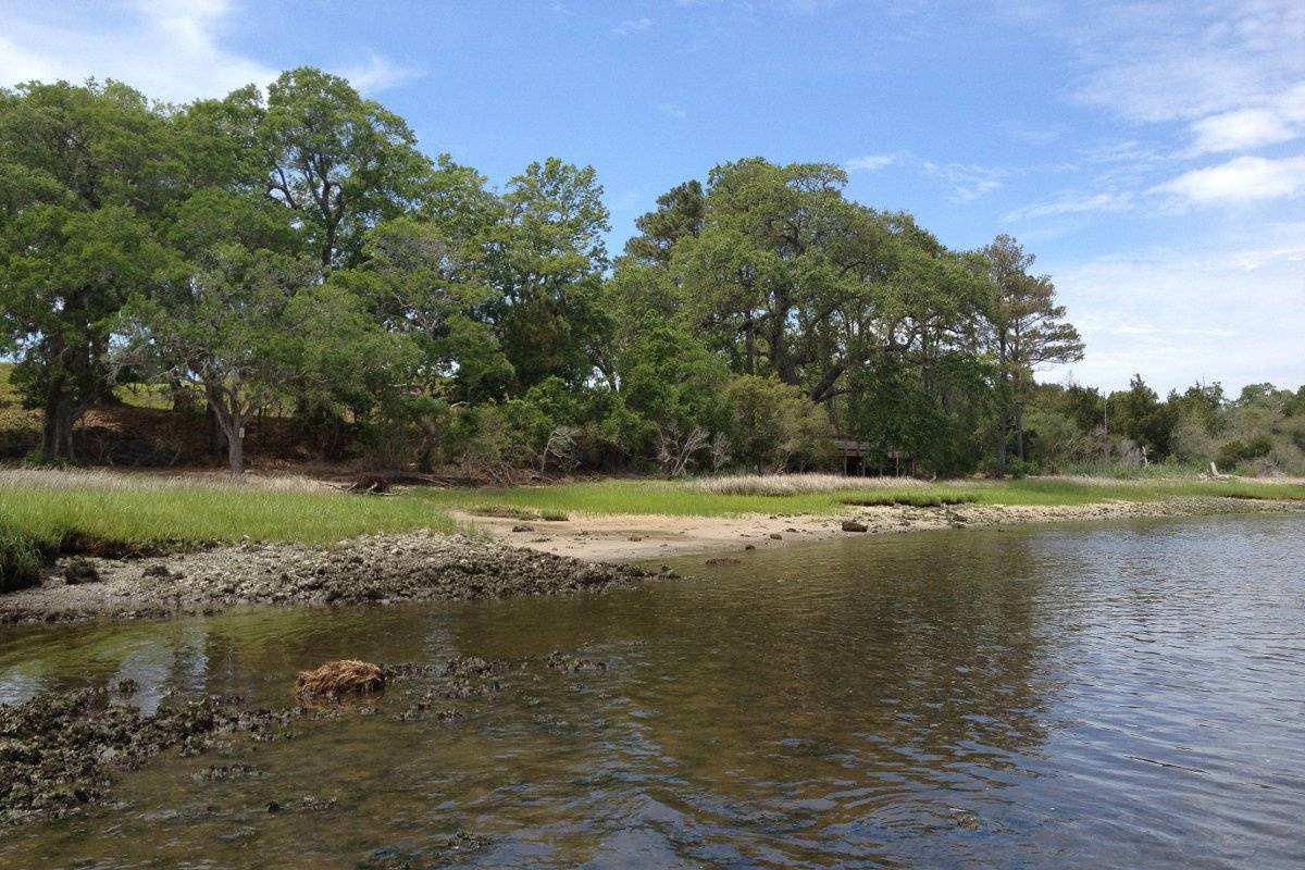 Brunswick Town/Fort Anderson State Historic Site - Venue - Winnabow, NC ...