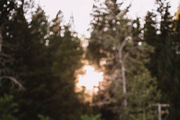 Wedding - Portraits