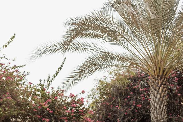 Dubai, Bridal Session 🤍