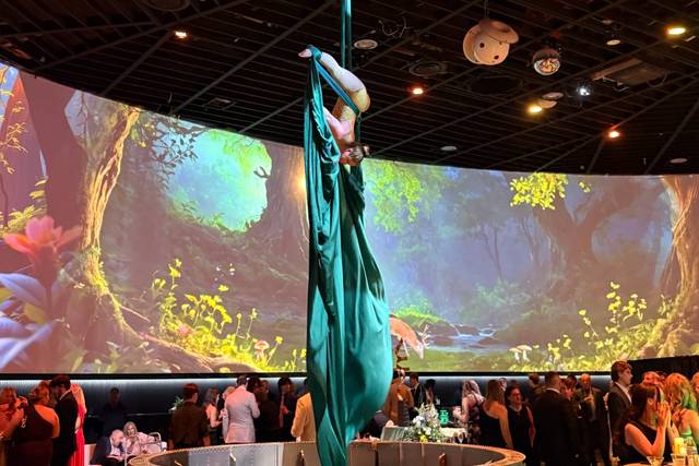 Aerialist
