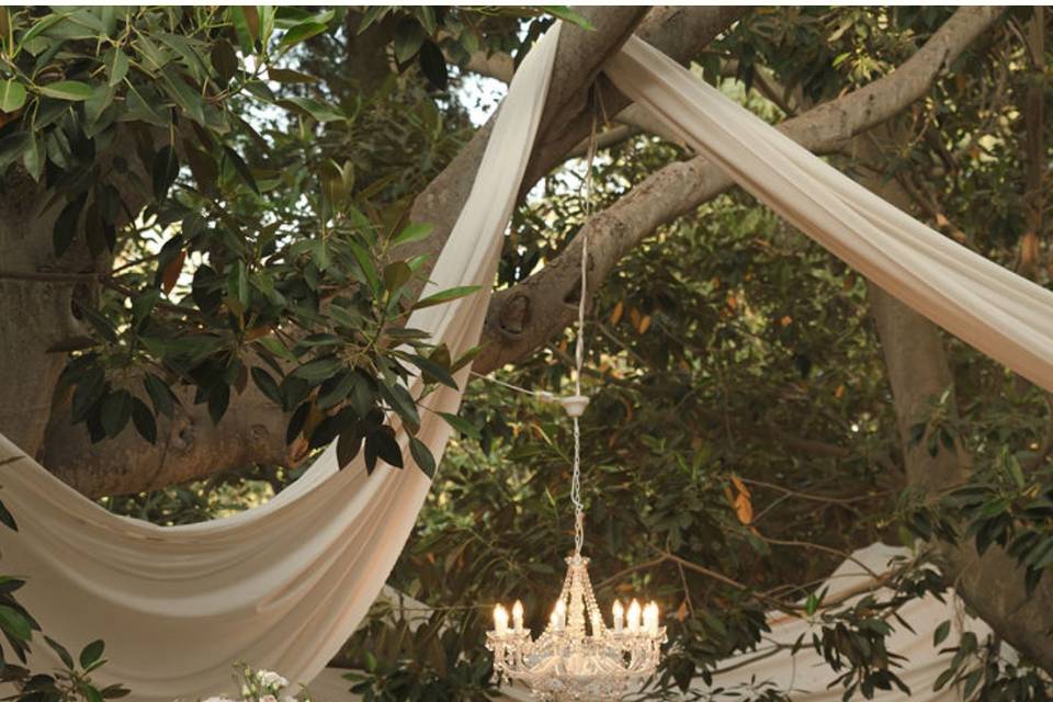 Decor
