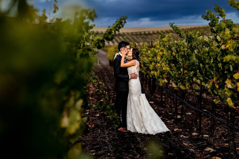 Winery Wedding in Autumn