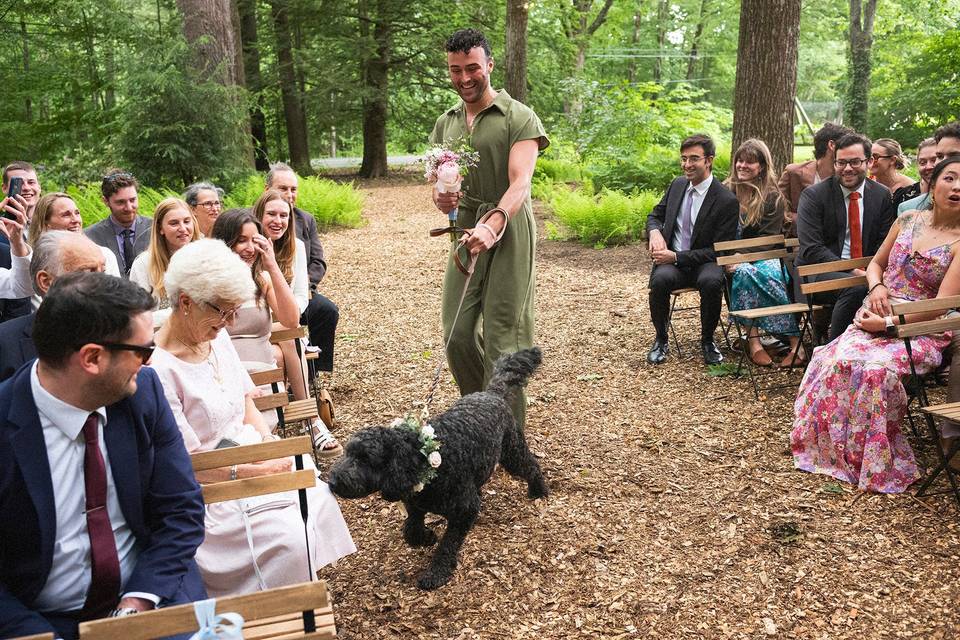 Queer wedding