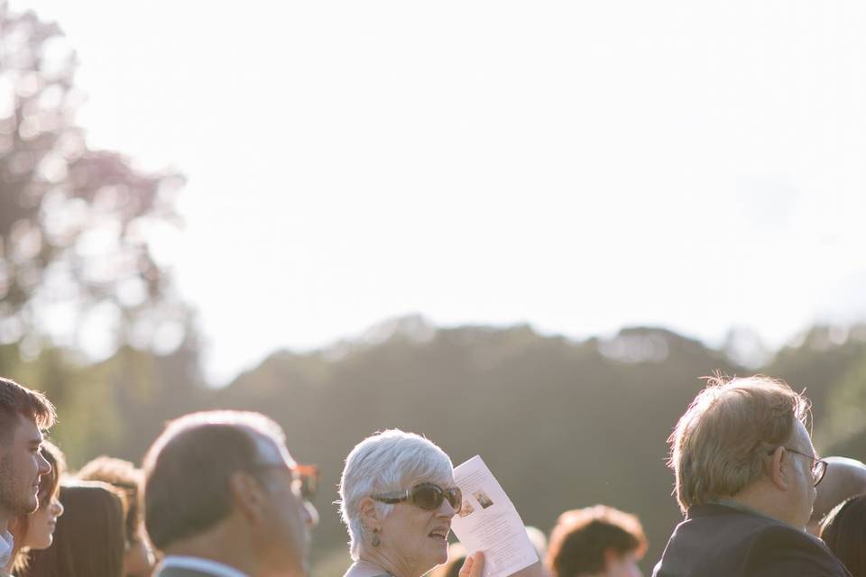Wedding Photos