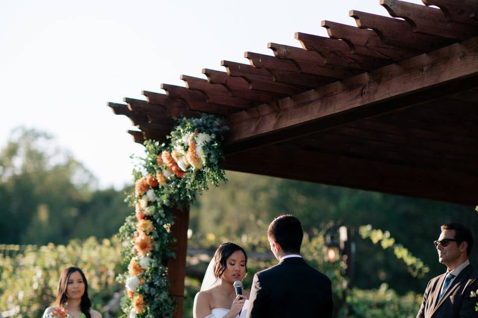 Wedding Photos