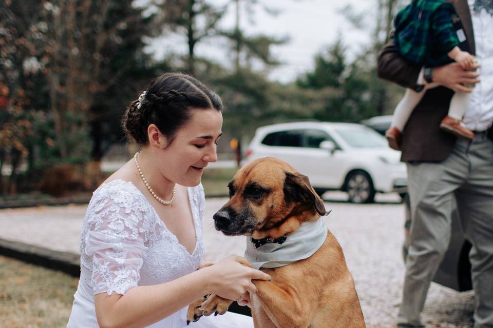 Wedding Photos