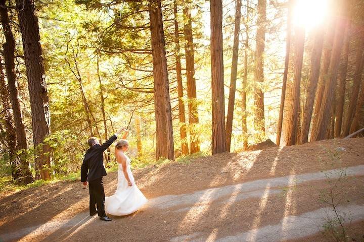 Magical forest wedding twenty mile house wedding northern california