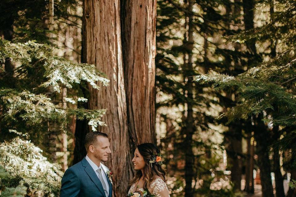 Romantic forest wedding twenty mile house northern california