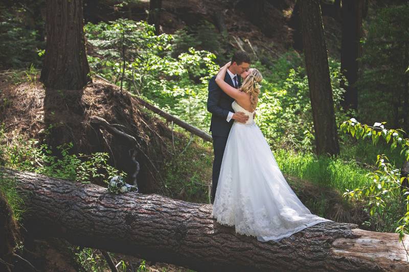 Forest alongside jackson creek at twenty mile house wedding venue tahoe reno